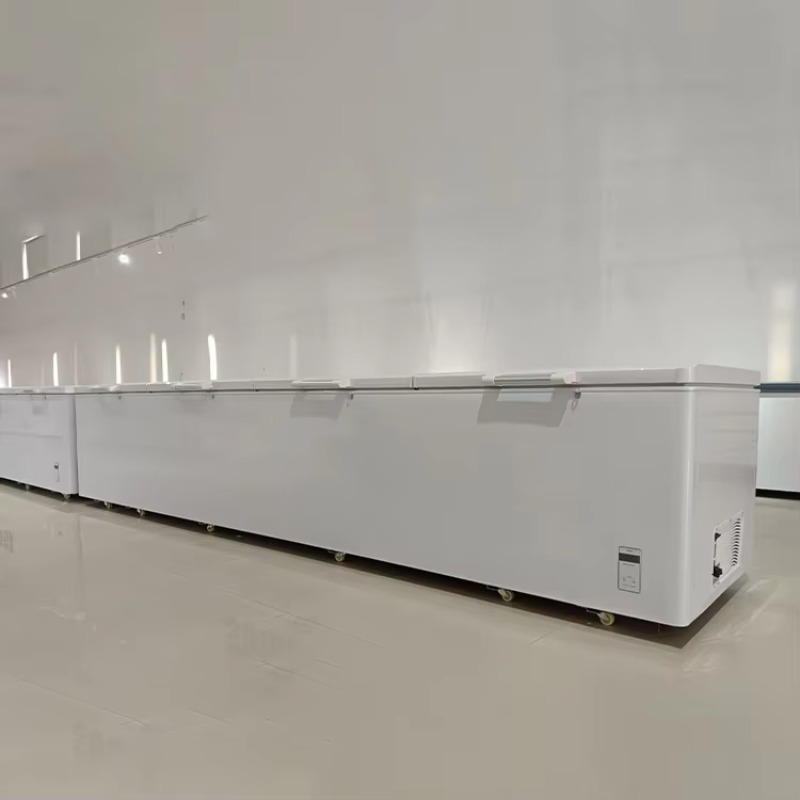 2688 Large Single-Temperature  - Commercial Chest Freezer recension och pris