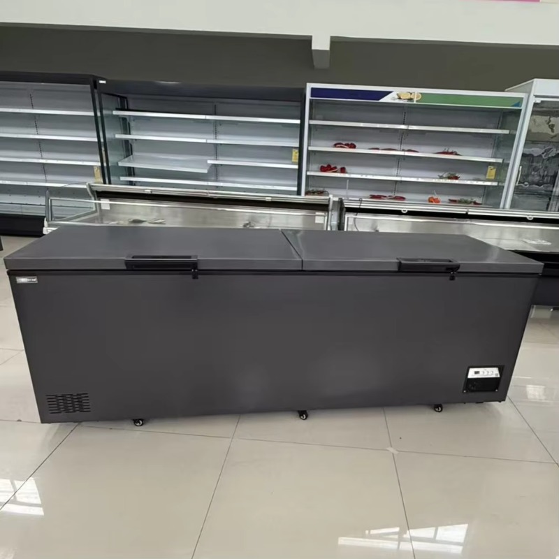 Commercial Double Door Horizon - Commercial Chest Freezer recension och pris