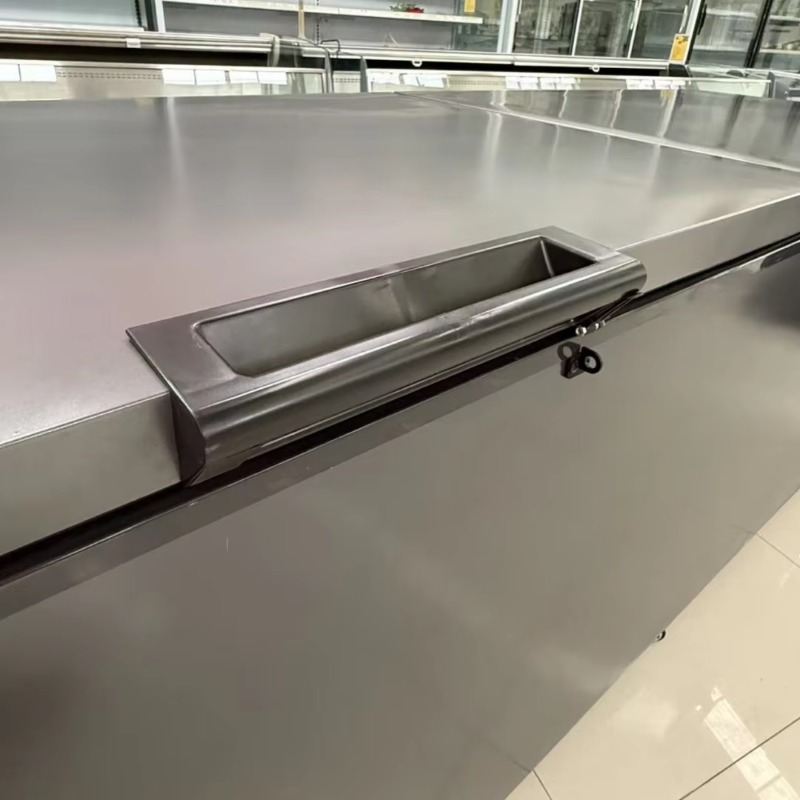 Commercial Double Door Horizon - Commercial Chest Freezer recension och pris